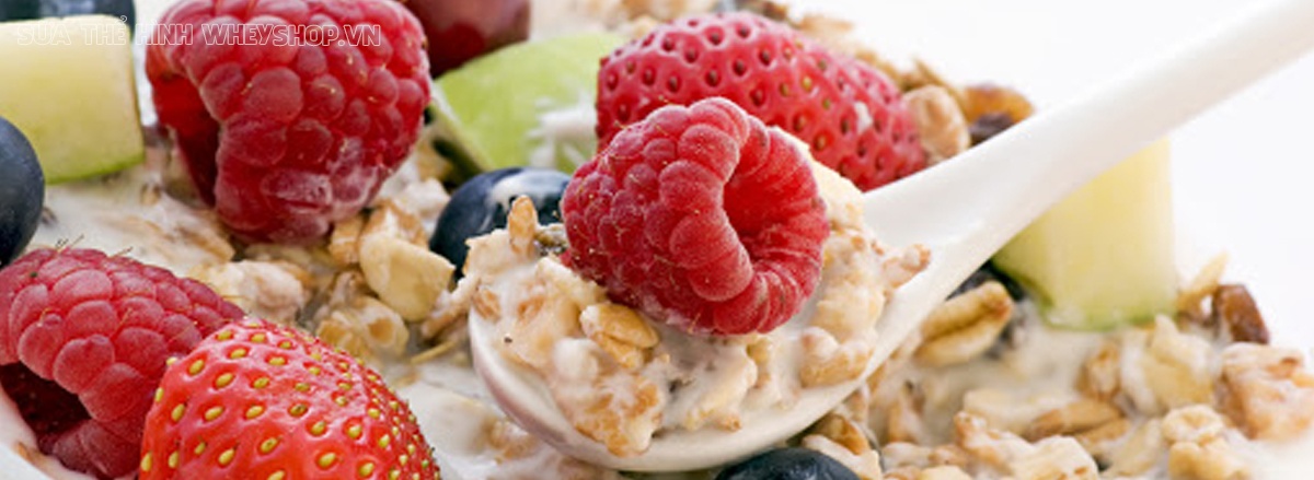 Yến mạch mang tới nhiều lợi ích cho sức khỏe. Vậy có nên ăn Yến mạch thay cơm hay không ? Hãy cùng WheyShop tìm hiểu chi tiết qua bài viết sau nhé ...