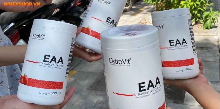 Hầu hết tất cả các đối tượng đều đang thiếu hụt axit amin thiết yếu. EAA loại nào tốt? Bài viết dưới đây WheyShop sẽ gợi ý Top 5+ EAA tốt nhất hiện nay....