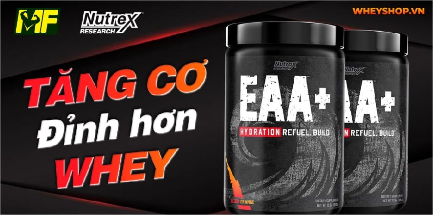 Hầu hết tất cả các đối tượng đều đang thiếu hụt axit amin thiết yếu. EAA loại nào tốt? Bài viết dưới đây WheyShop sẽ gợi ý Top 5+ EAA tốt nhất hiện nay....