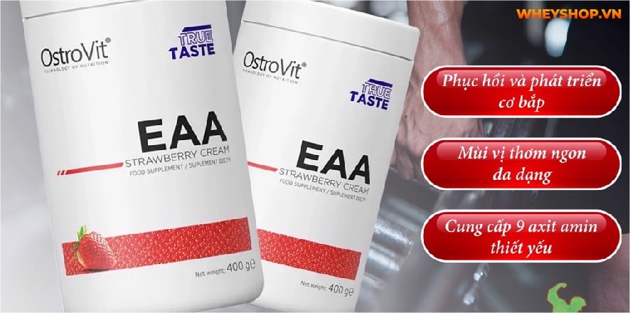 Hầu hết tất cả các đối tượng đều đang thiếu hụt axit amin thiết yếu. EAA loại nào tốt? Bài viết dưới đây WheyShop sẽ gợi ý Top 5+ EAA tốt nhất hiện nay....