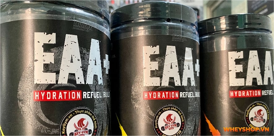 Hầu hết tất cả các đối tượng đều đang thiếu hụt axit amin thiết yếu. EAA loại nào tốt? Bài viết dưới đây WheyShop sẽ gợi ý Top 5+ EAA tốt nhất hiện nay....