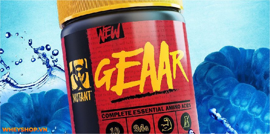 Hầu hết tất cả các đối tượng đều đang thiếu hụt axit amin thiết yếu. EAA loại nào tốt? Bài viết dưới đây WheyShop sẽ gợi ý Top 5+ EAA tốt nhất hiện nay....