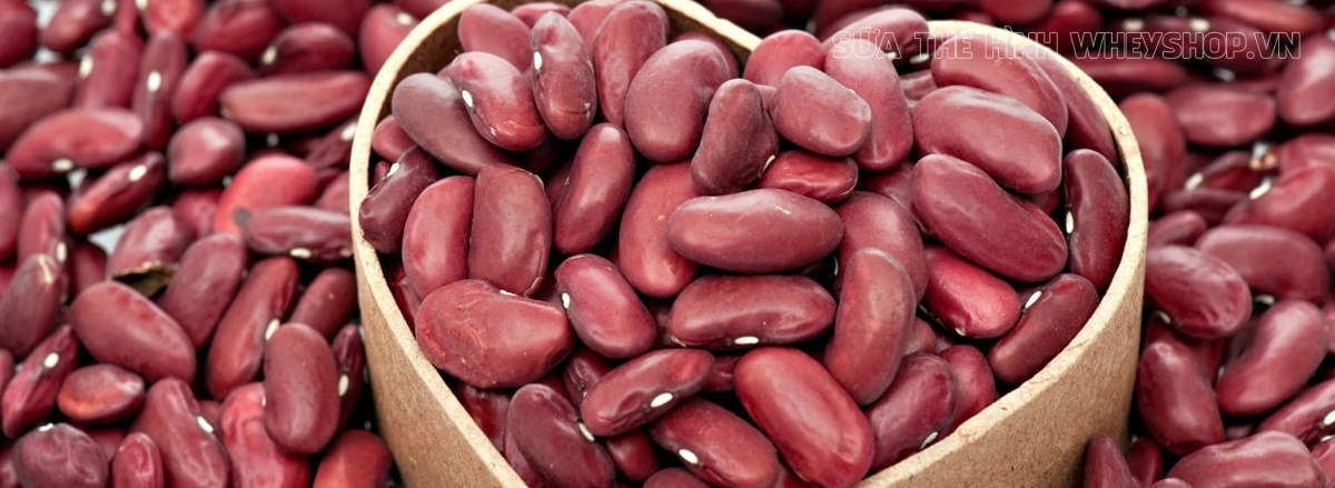 Ăn gì để tăng cơ bắp là điều mà phần lớn người tập gym thể hình quan tâm tới. Tổng hợp ngay 50 thực phẩm tăng cơ bắp nhanh nhất dành cho người tập gym...