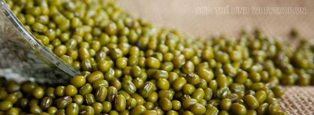 Ăn gì để tăng cơ bắp là điều mà phần lớn người tập gym thể hình quan tâm tới. Tổng hợp ngay 50 thực phẩm tăng cơ bắp nhanh nhất dành cho người tập gym...