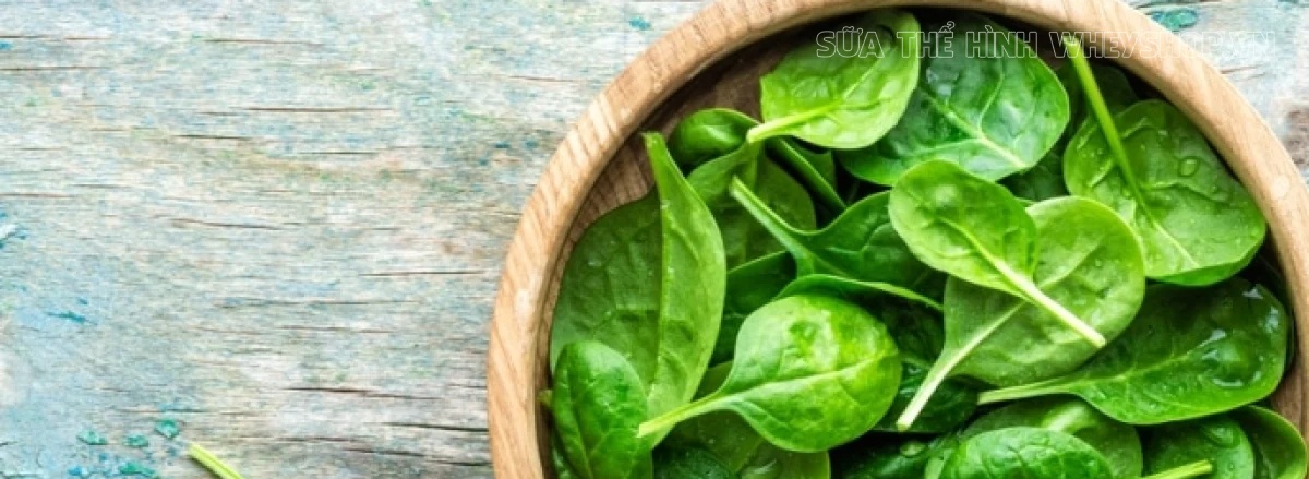 Ăn gì để tăng cơ bắp là điều mà phần lớn người tập gym thể hình quan tâm tới. Tổng hợp ngay 50 thực phẩm tăng cơ bắp nhanh nhất dành cho người tập gym...