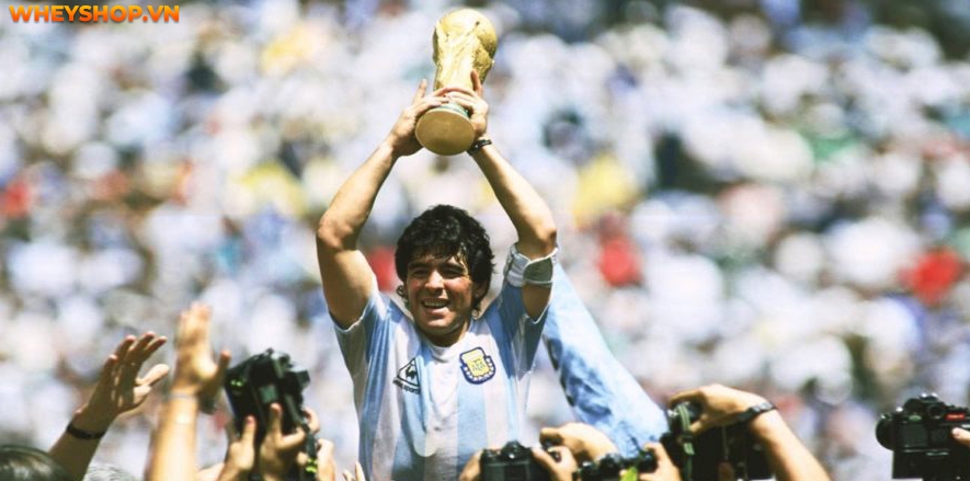 Nếu bạn đang tìm hiểu các đội vô địch World Cup trong lịch sử thì hãy cùng WheyShop tham khảo bài viết tổng hợp sau đây...