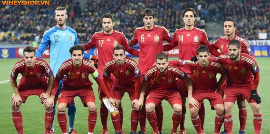 Nếu bạn đang tìm hiểu các đội vô địch World Cup trong lịch sử thì hãy cùng WheyShop tham khảo bài viết tổng hợp sau đây...