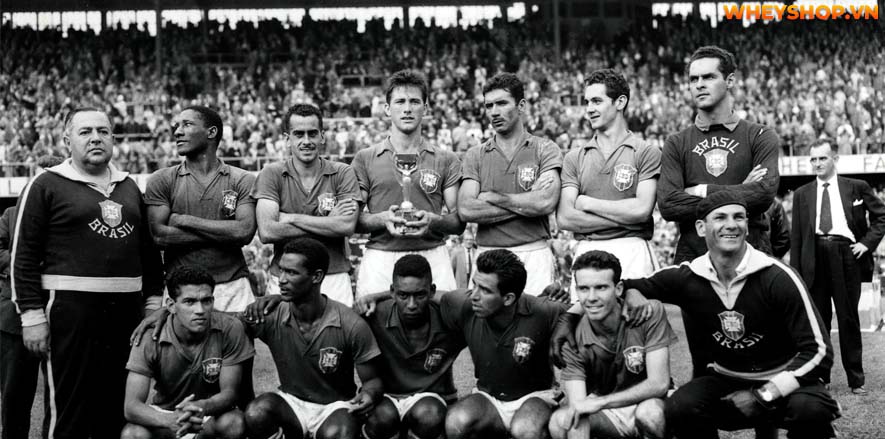 Nếu bạn đang tìm hiểu các đội vô địch World Cup trong lịch sử thì hãy cùng WheyShop tham khảo bài viết tổng hợp sau đây...