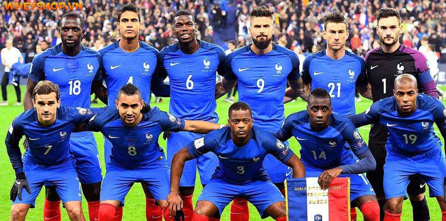 Nếu bạn đang tìm hiểu các đội vô địch World Cup trong lịch sử thì hãy cùng WheyShop tham khảo b��i viết tổng hợp sau đây...