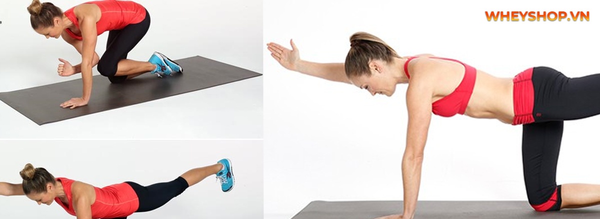 Bài tập yoga chữa thoát vị địa đệm được rất nhiều người quan tâm. Nội dung bài viết này chúng ta sẽ tìm hiểu về cách tập các yoga chữa thoát vị địa đệm nhé.