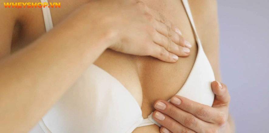 Vòng 1 căng đầy là một trong những yếu tố giúp phái đẹp trông quyến rũ hơn. Cùng WheyShop hướng dẫn 10+ cách làm tăng vòng 1 c���p tốc của người Nhật...