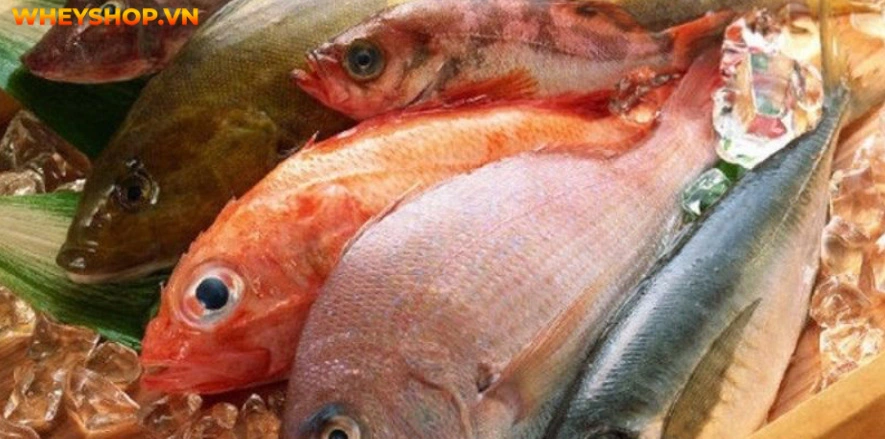 Vòng 1 căng đầy là một trong những yếu tố giúp phái đẹp trông quyến rũ hơn. Cùng WheyShop hướng dẫn 10+ cách làm tăng vòng 1 cấp tốc của người Nhật...