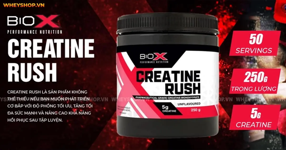 top-10-creatine-tang-co-tang-suc-manh-tot-nhat-cho-gymer-2022-5