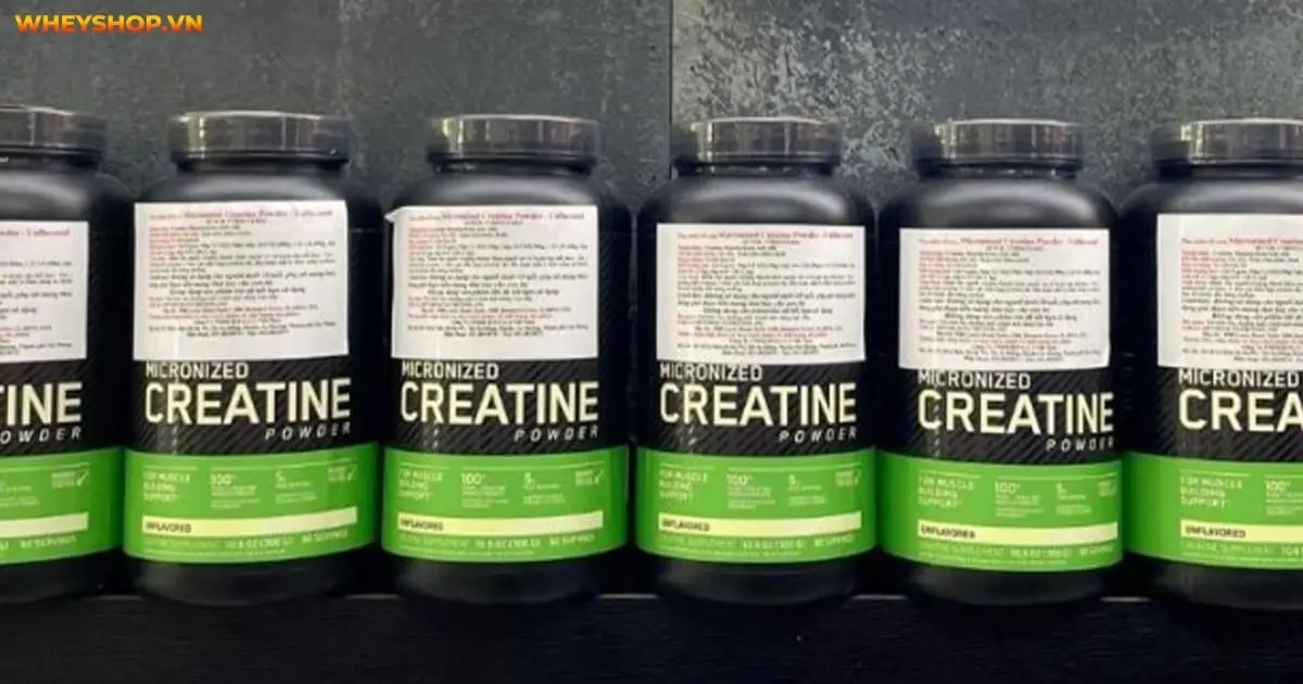 top-10-creatine-tang-co-tang-suc-manh-tot-nhat-cho-gymer-2022-5