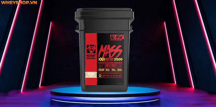 Nếu bạn băn khoăn đâu là sản phẩm mass tăng cơ nạc tốt nhất thì hãy cùng WheyShop điểm qua top 10 mass tăng cơ nạc trong bài nhé...