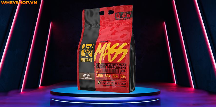 Nếu bạn băn khoăn đâu là sản phẩm mass tăng cơ nạc tốt nhất thì hãy cùng WheyShop điểm qua top 10 mass tăng cơ nạc trong bài nhé...