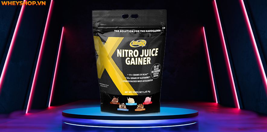 Nếu bạn băn khoăn đâu là sản phẩm mass tăng cơ nạc tốt nhất thì hãy cùng WheyShop điểm qua top 10 mass tăng cơ nạc trong bài nhé...