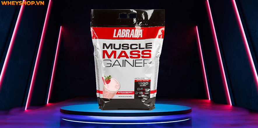 Nếu bạn băn khoăn đâu là sản phẩm mass tăng cơ nạc tốt nhất thì hãy cùng WheyShop điểm qua top 10 mass tăng cơ nạc trong bài nhé...