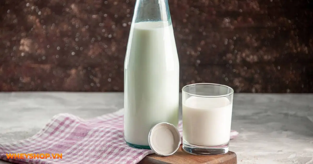 top-10-loai-sua-tuoi-tach-beo-ho-tro-giam-can-hieu-qua-nhat-01