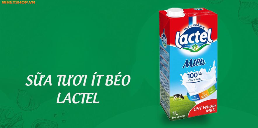 Sữa tươi tách béo là một trong những sản phẩm có nhiều chất dinh dưỡng cần thiết có lợi cho sức khỏe con người. Nếu bạn đang băn khoăn về đối tượng này, bài...