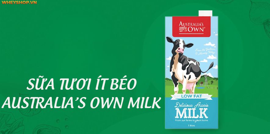 Sữa tươi tách béo là một trong những sản phẩm có nhiều chất dinh dưỡng cần thiết có lợi cho sức khỏe con người. Nếu bạn đang băn khoăn về đối tượng này, bài...