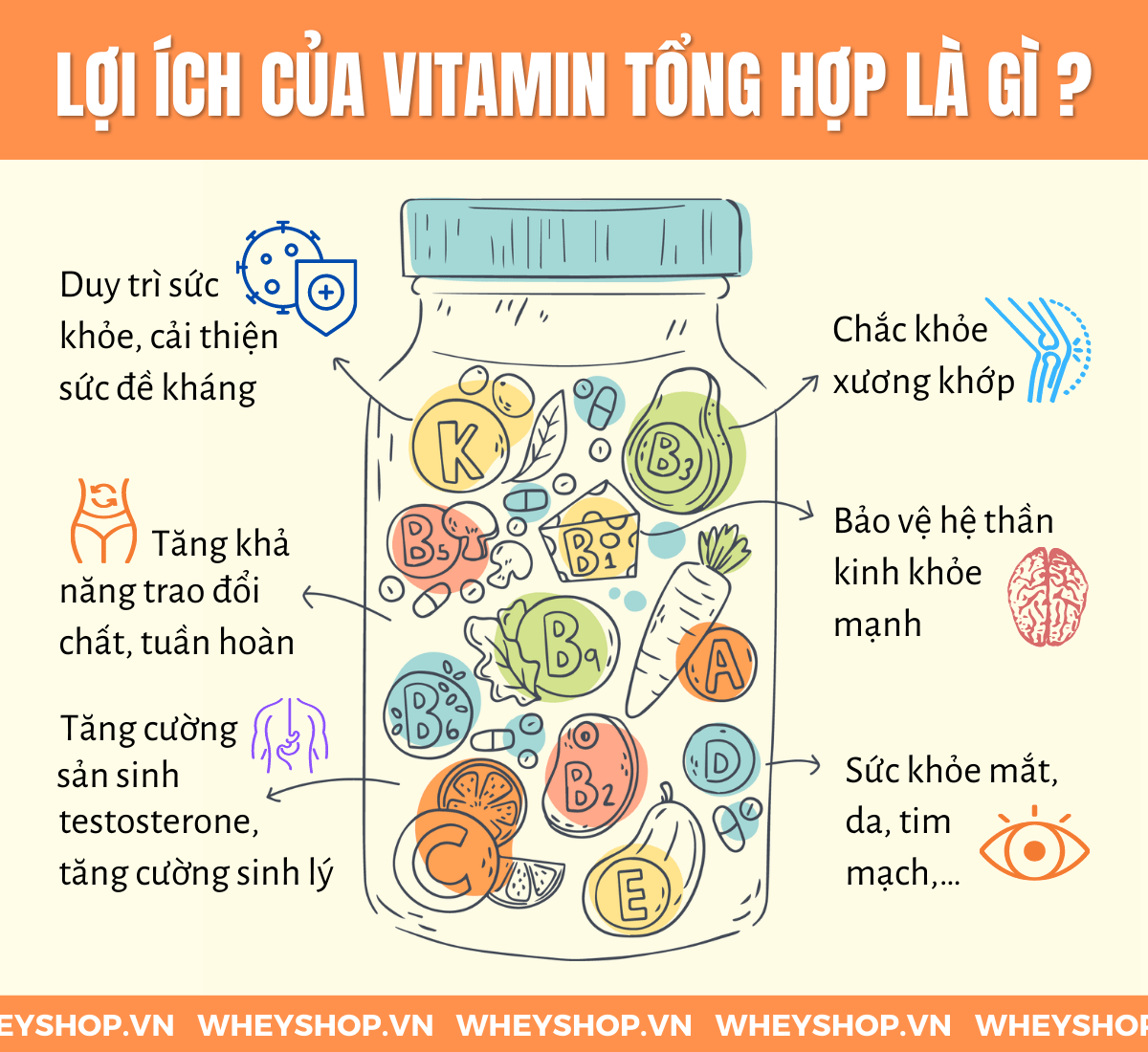 Tìm hiểu ngay Top 10 Vitamin cho người tập gym quan trọng nhất, cải thiện sức khỏe, tăng cường sức đề kháng, hỗ trợ tăng cơ giảm mỡ hiệu quả...