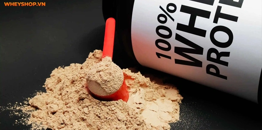 top-10-sua-whey-protein-tot-nhat-danh-cho-nu-2024