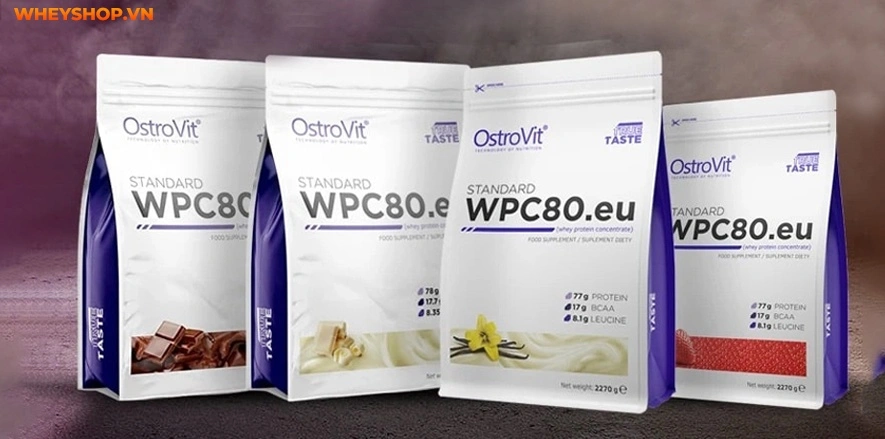 top-10-sua-whey-protein-tot-nhat-danh-cho-nu-2024