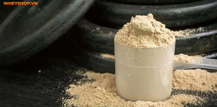 top-10-sua-whey-protein-tot-nhat-danh-cho-nu-2024