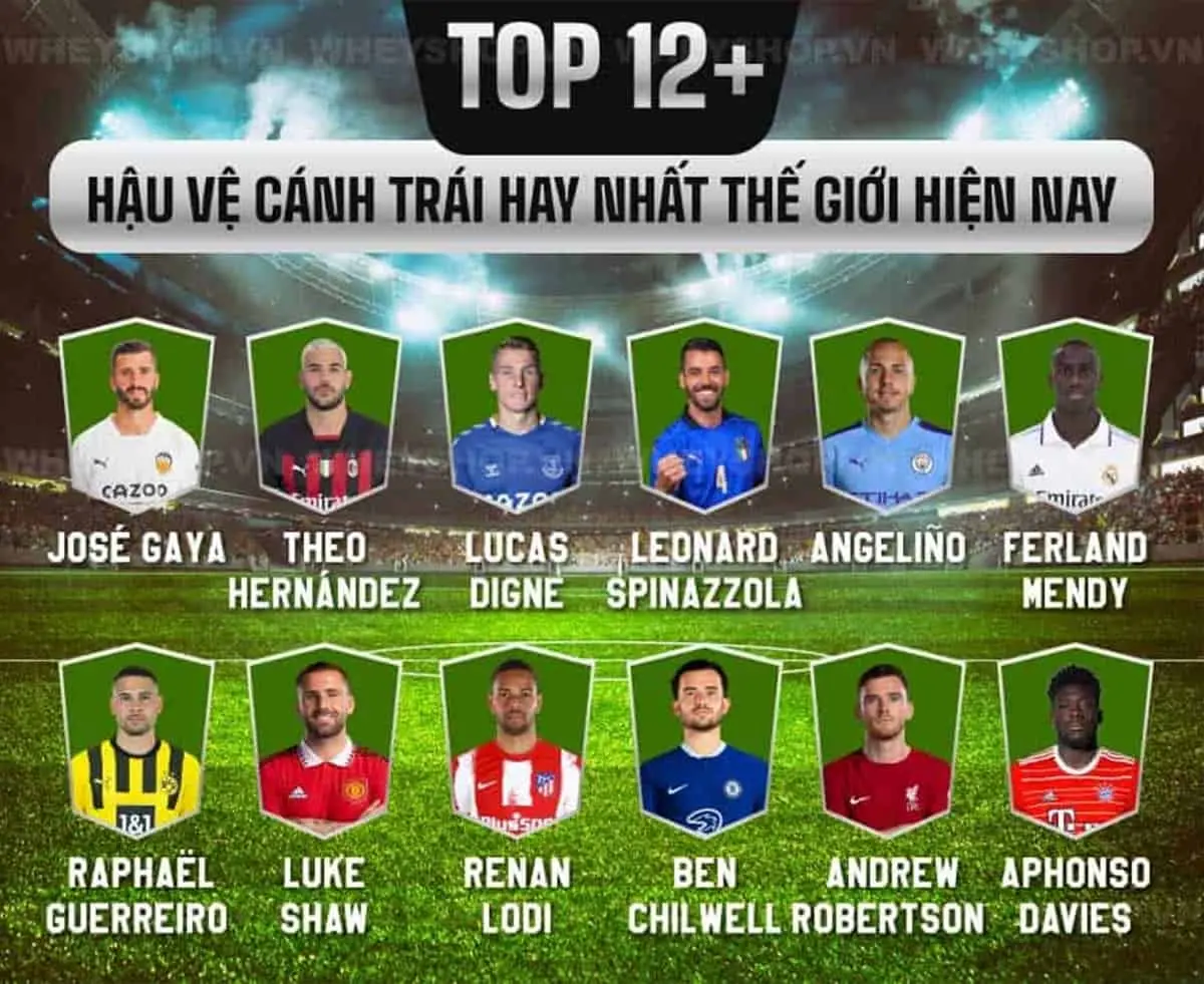 top-12-hau-ve-canh-trai-hay-nhat-the-gioi-hien-nay-4