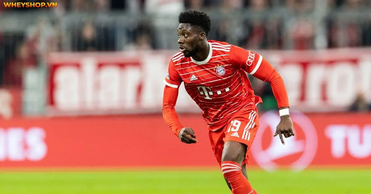 top-12-hau-ve-canh-trai-hay-nhat-the-gioi-hien-nay-4