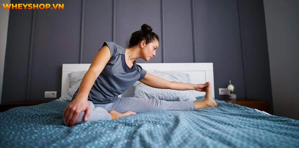 Chỉ cần bỏ ra 10-15 phút mỗi ngày và lựa chọn bài tập giảm mỡ bụng trước khi ngủ mà WheyShop gợi ý dưới đây, bạn có thể nhanh chóng lấy lại vòng eo thon thả...