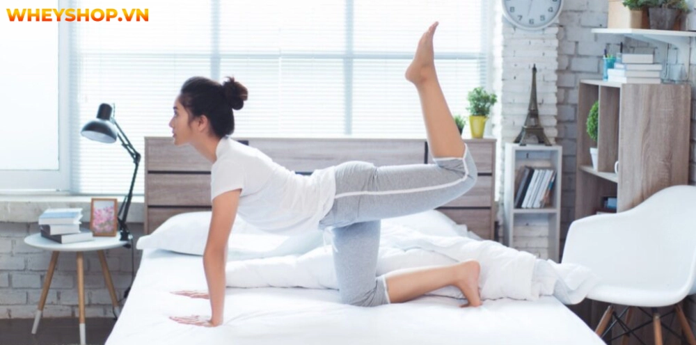 Chỉ cần bỏ ra 10-15 phút mỗi ngày và lựa chọn bài tập giảm mỡ bụng trước khi ngủ mà WheyShop gợi ý dưới đây, bạn có thể nhanh chóng lấy lại vòng eo thon thả...