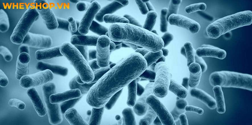 Hiện nay có rất nhiều cách trị mụn: dùng kem trị mụn, dùng thuốc trị mụn, trị mụn bằng công nghệ cao tại các spa, cơ sở thẩm mỹ như lăn kim không cần lăn...