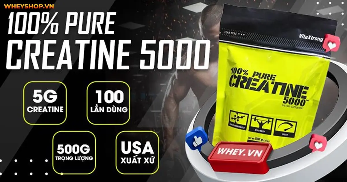 top-20-thuc-pham-giau-creatine-tang-co-tot-nhat-18-5