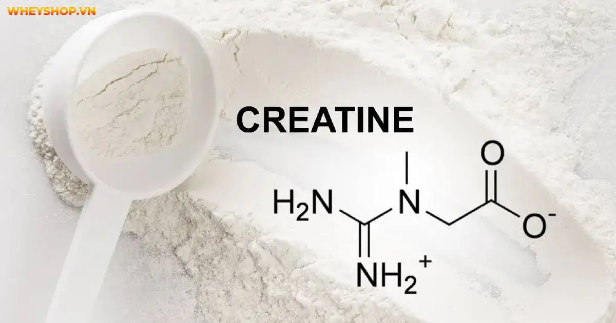 top-20-thuc-pham-giau-creatine-tang-co-tot-nhat-18-5
