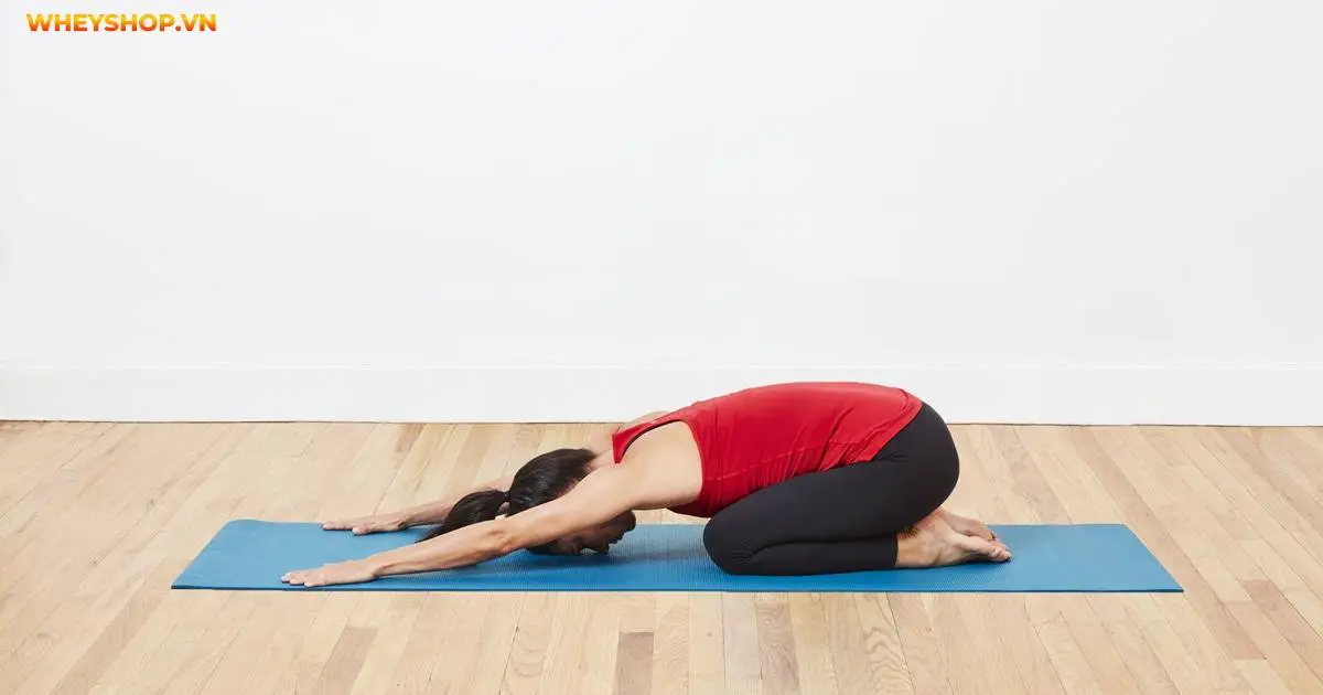 top-20-tu-the-yoga-don-gian-cho-nguoi-moi-bat-dau-5