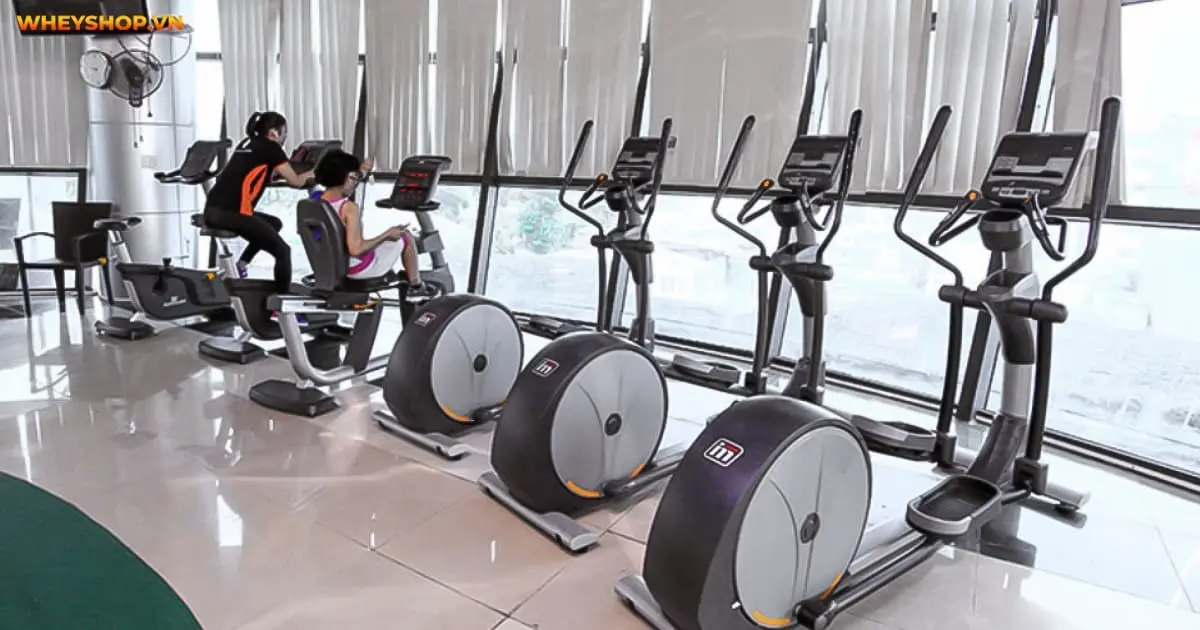 top-30-phong-gym-xin-nhat-quanh-ha-noi