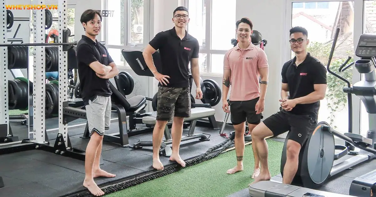 top-30-phong-gym-xin-nhat-quanh-ha-noi