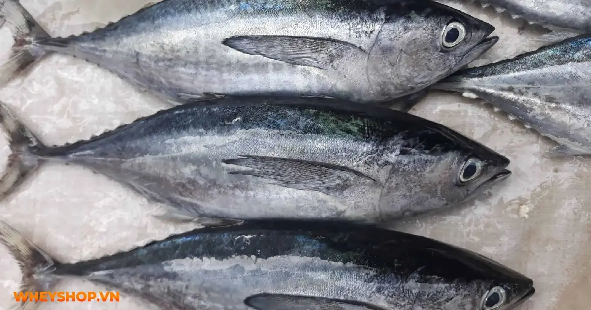 top-30-thuc-pham-giau-chat-beo-tot-nhat-04-min