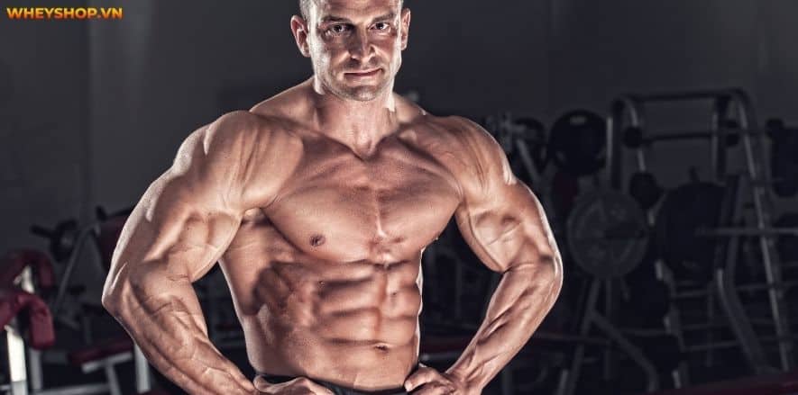 Nhiều học sinh, sinh viên có tài chính hạn chế chưa thể sử dụng Whey Protein đắt đỏ. WheyShop gợi ý Top 5+ Whey Protein giá rẻ cho sinh viên hiệu quả tăng cơ...