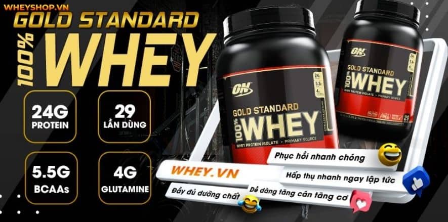 Nhiều học sinh, sinh viên có tài chính hạn chế chưa thể sử dụng Whey Protein đắt đỏ. WheyShop gợi ý Top 5+ Whey Protein giá rẻ cho sinh viên hiệu quả tăng cơ...
