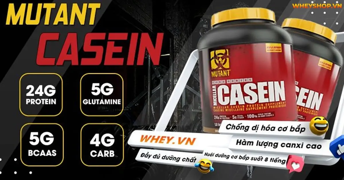top-7-loai-sua-casein-protein-nuoi-co-tot-nhat-9