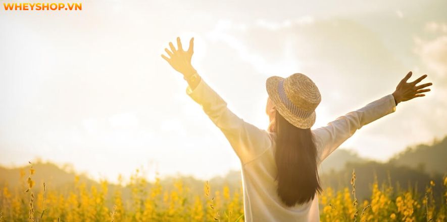 Phải làm gì nếu bạn sinh ra đã không có đôi chân dài, thon mảnh? 8 bài tập tăng chiều dài chân của WheyShop dưới đây chắc chắn sẽ giúp bạn