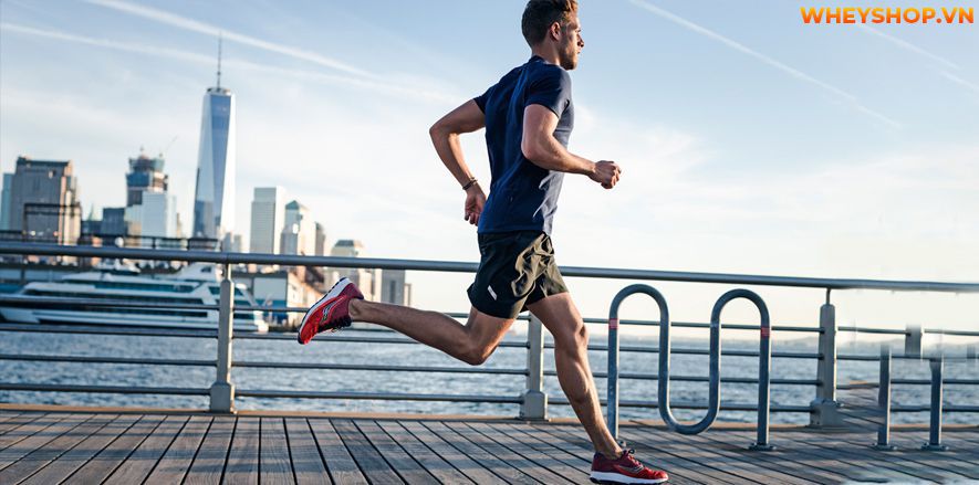 Nếu bạn đang băn khoăn tìm cách giảm mỡ bụng nam thì hãy cùng WheyShop tham khảo 8 cách giảm mỡ bụng nam tự nhiên, hiệu quả nhanh chóng...