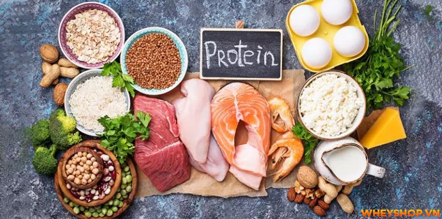 Nếu bạn đang băn khoăn tìm cách giảm mỡ bụng nam thì hãy cùng WheyShop tham khảo 8 cách giảm mỡ bụng nam tự nhiên, hiệu quả nhanh chóng...