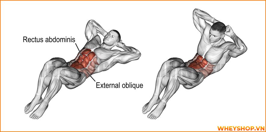 Nếu bạn đang băn khoăn tìm cách giảm mỡ bụng nam thì hãy cùng WheyShop tham khảo 8 cách giảm mỡ bụng nam tự nhiên, hiệu quả nhanh chóng...