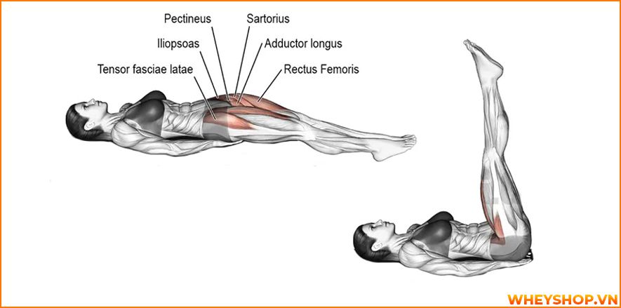 Nếu bạn đang băn khoăn tìm cách giảm mỡ bụng nam thì hãy cùng WheyShop tham khảo 8 cách giảm mỡ bụng nam tự nhiên, hiệu quả nhanh chóng...