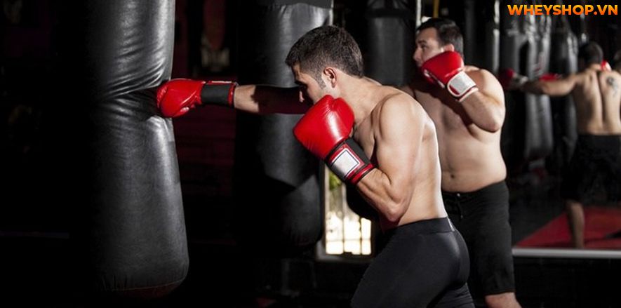 Nếu bạn đang băn khoăn tìm cách giảm mỡ bụng nam thì hãy cùng WheyShop tham khảo 8 cách giảm mỡ bụng nam tự nhiên, hiệu quả nhanh chóng...