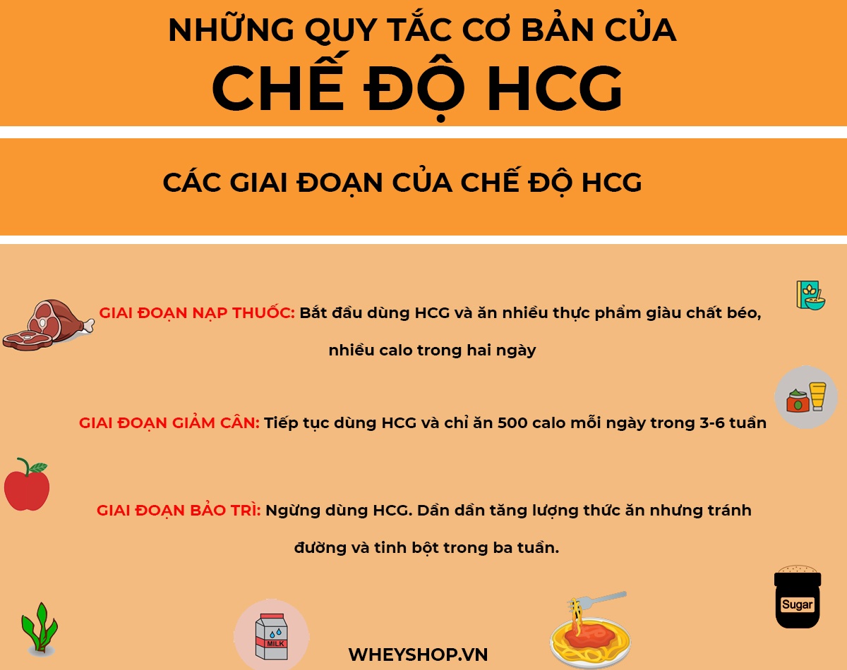 Nếu bạn đang muốn ăn kiêng giảm cân nhanh hiệu quả, hãy cùng WheyShop tham khảo ngay 9 chế độ ăn kiêng khoa học phổ biến tốt nhất hiện nay dành cho bạn...